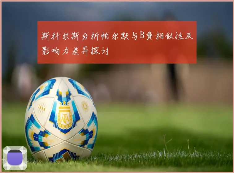 斯科尔斯分析帕尔默与B费相似性及影响力差异探讨